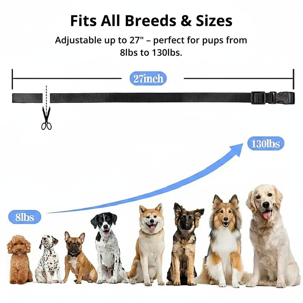 Wearclo | 1000m Waterproof Dog Training Collar | Rechargeable, Remote Control & Adjustable for Small, Medium, and Large Dogs