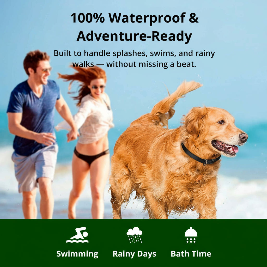 Wearclo | 1000m Waterproof Dog Training Collar | Rechargeable, Remote Control & Adjustable for Small, Medium, and Large Dogs