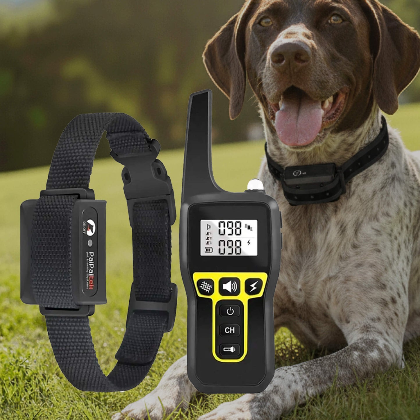 Wearclo | 1000m Waterproof Dog Training Collar | Rechargeable, Remote Control & Adjustable for Small, Medium, and Large Dogs