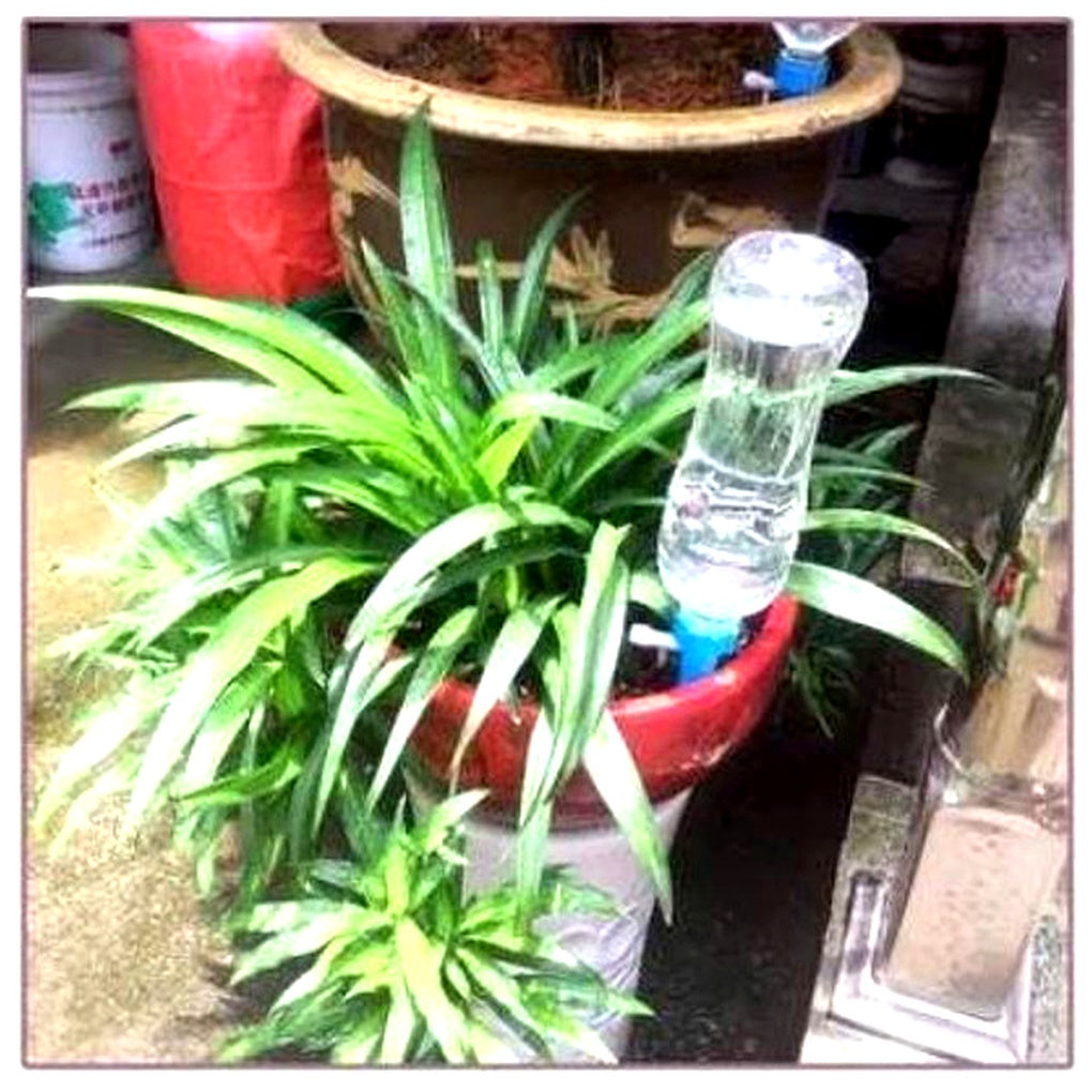 Wearclo | Automatic Plant Watering Spikes – Adjustable Flow Garden Aid