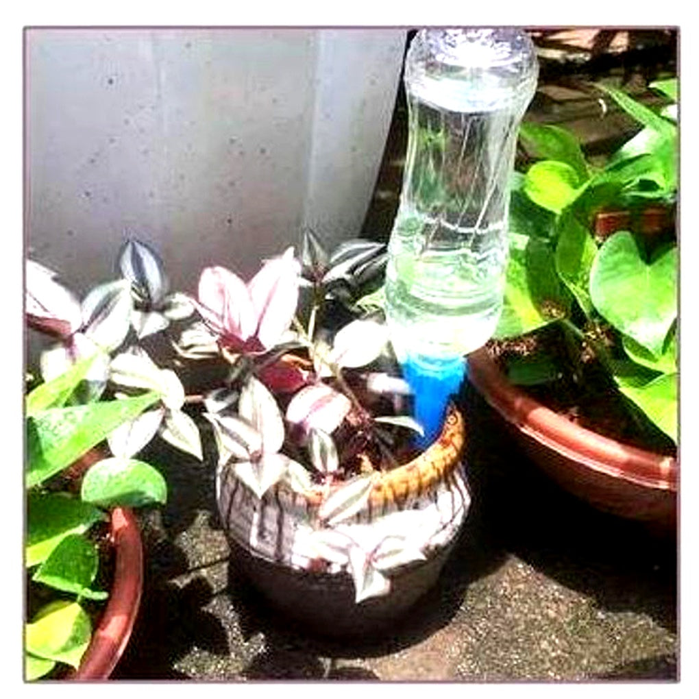 Wearclo | Automatic Plant Watering Spikes – Adjustable Flow Garden Aid