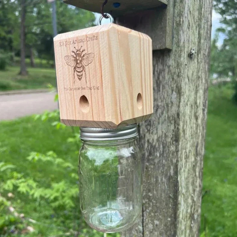Wearclo | Best Carpenter Bee Trap
