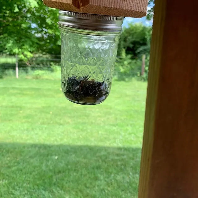 Wearclo | Best Carpenter Bee Trap