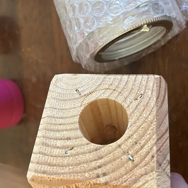 Wearclo | Best Carpenter Bee Trap
