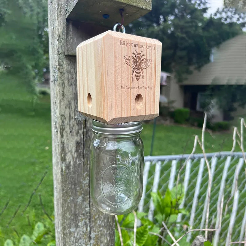 Wearclo | Best Carpenter Bee Trap
