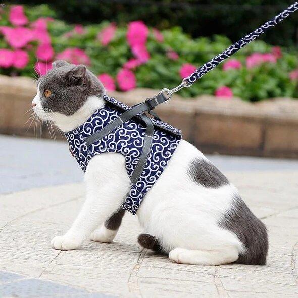 Wearclo | Bestseller: Anti-Breakout Cat Harness
