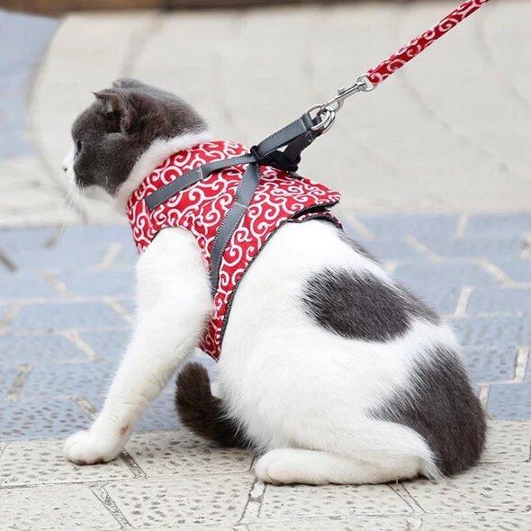Wearclo | Bestseller: Anti-Breakout Cat Harness