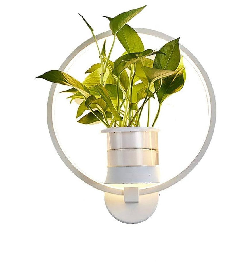 Wearclo | Botanical Wall Light with Plant | Stylish Wall Lighting