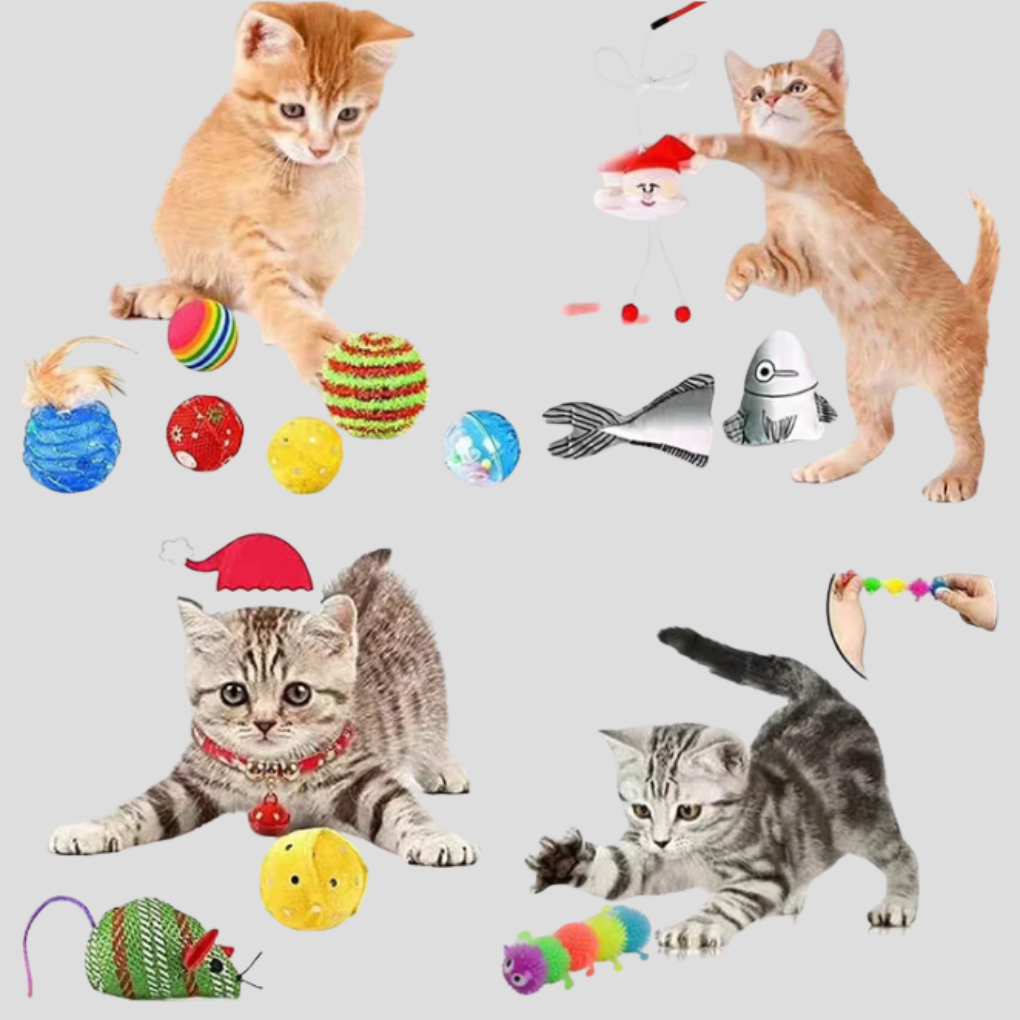Wearclo | Cat Toy Advent Calendar 24-Day Surprise Countdown