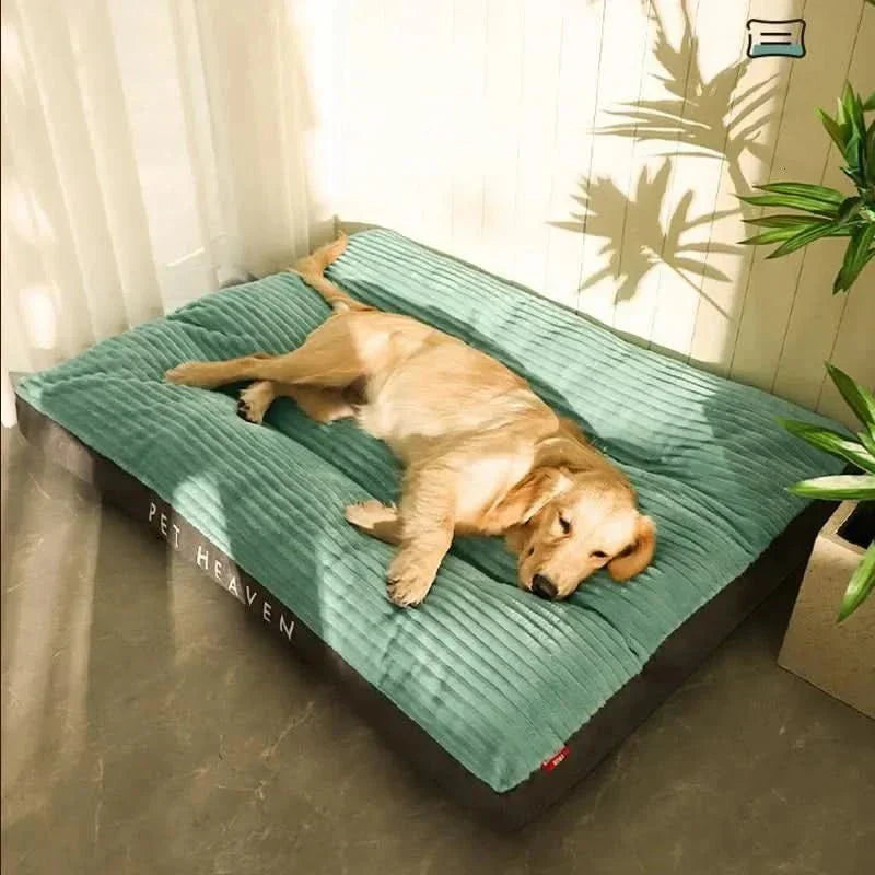 Wearclo | Cozy and supportive for restful nights
