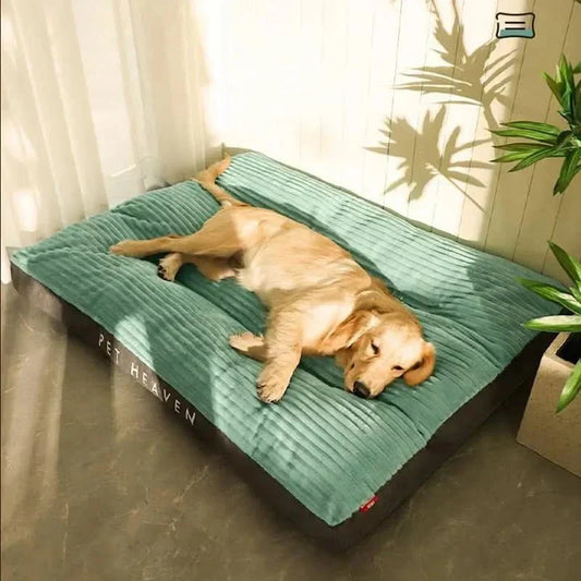 Wearclo | Cozy and supportive for restful nights