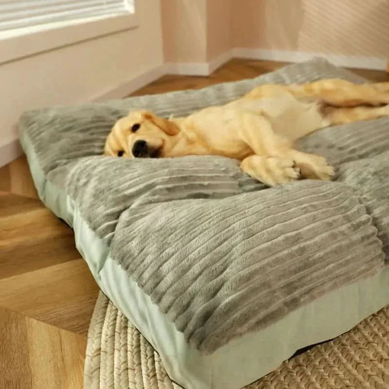 Wearclo | Cozy and supportive for restful nights