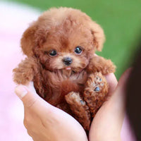 Wearclo | CuddlePup Smart Robot Puppy Dog | Perfect gift for children & elderly