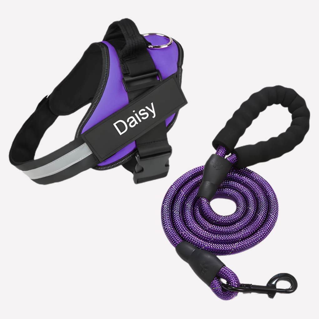 Wearclo | Customizable Anti-Pull Dog Harness