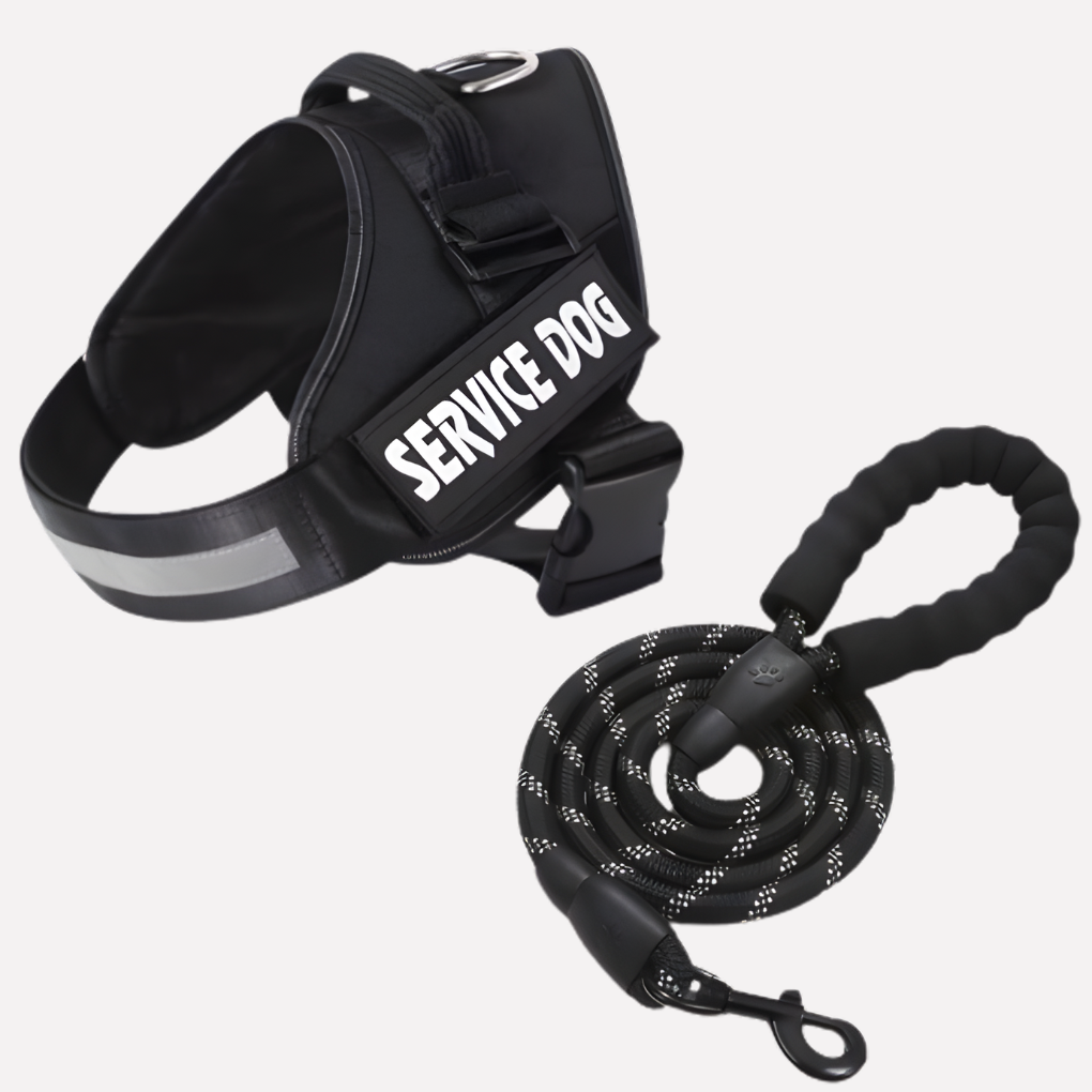 Wearclo | Customizable Anti-Pull Dog Harness