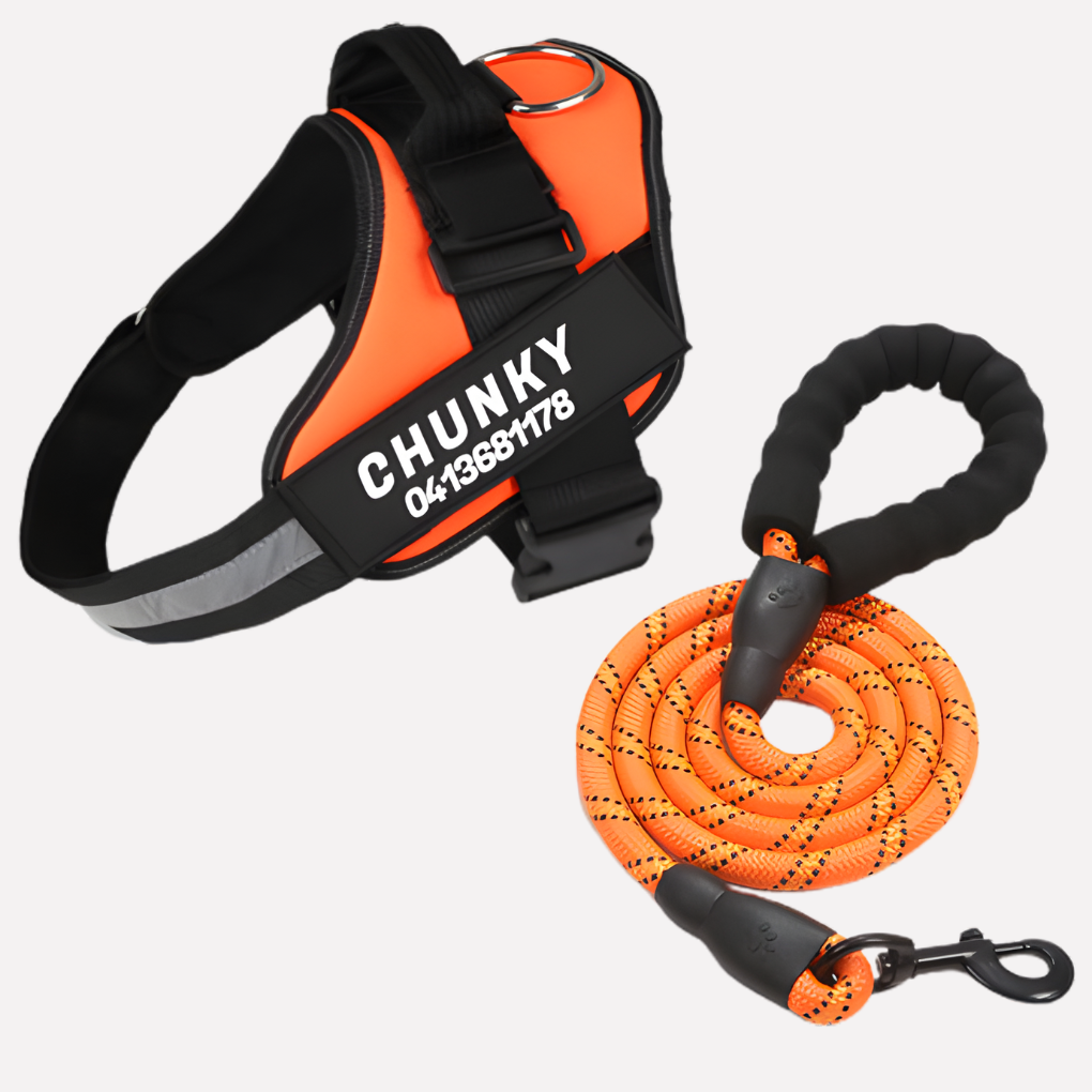 Wearclo | Customizable Anti-Pull Dog Harness