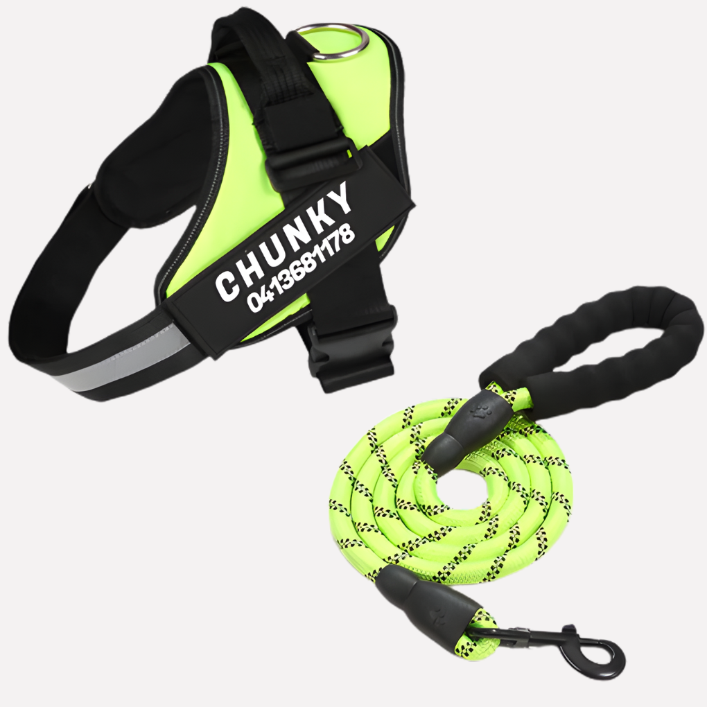 Wearclo | Customizable Anti-Pull Dog Harness with Name Tag