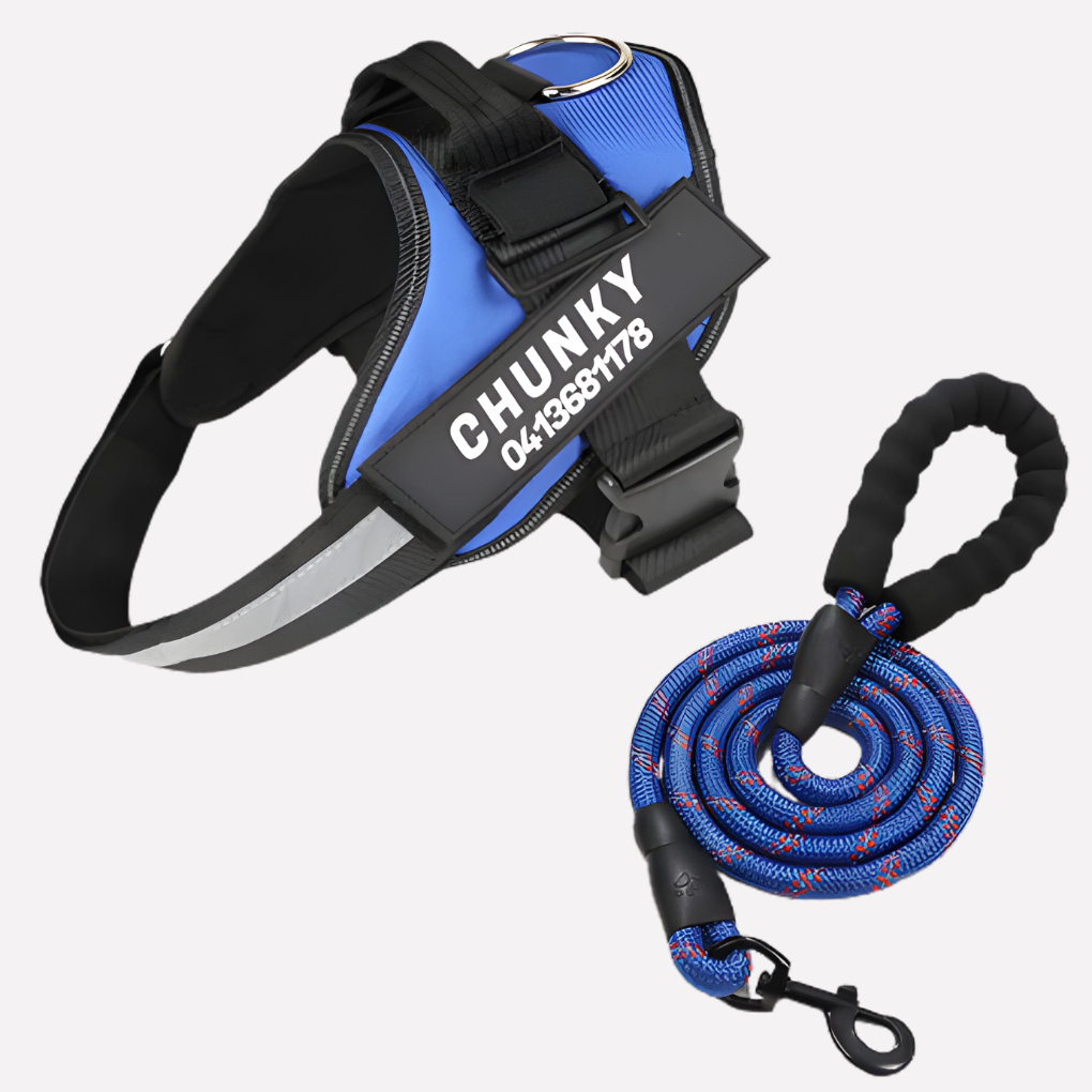 Wearclo | Customizable Anti-Pull Dog Harness with Name Tag