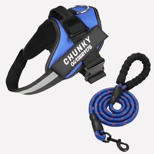 Wearclo | Customizable Anti-Pull Dog Harness with Name Tag