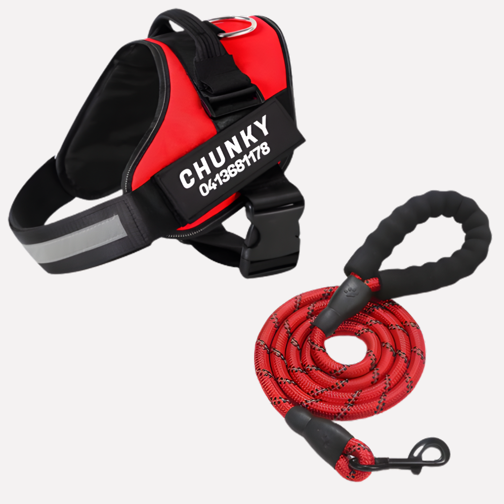 Wearclo | Customizable Anti-Pull Dog Harness with Name Tag
