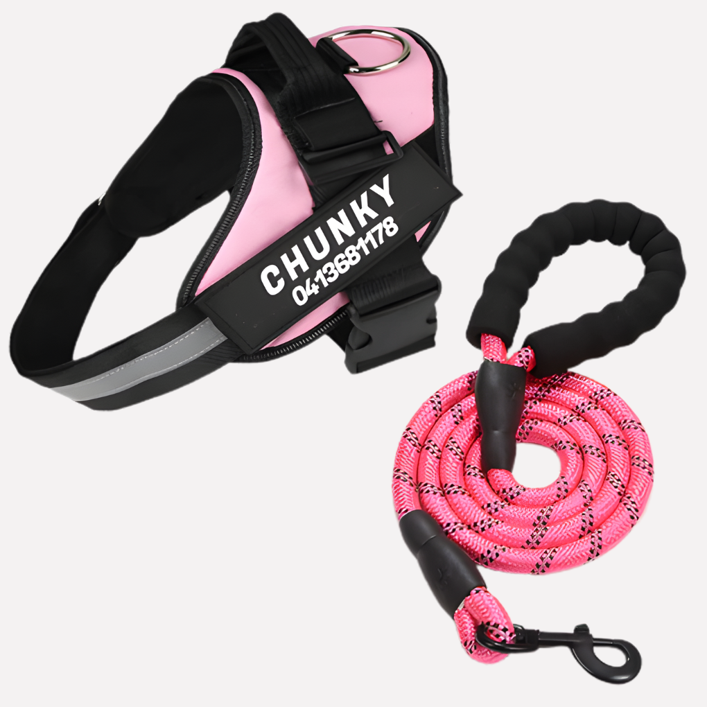 Wearclo | Customizable Anti-Pull Dog Harness with Name Tag
