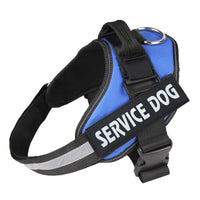 Wearclo | Customizable Anti-Pull Dog Harness with Name Tag
