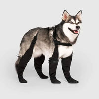 Wearclo | Dog Protective Paw Booties