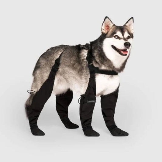 Wearclo | Dog Protective Paw Booties