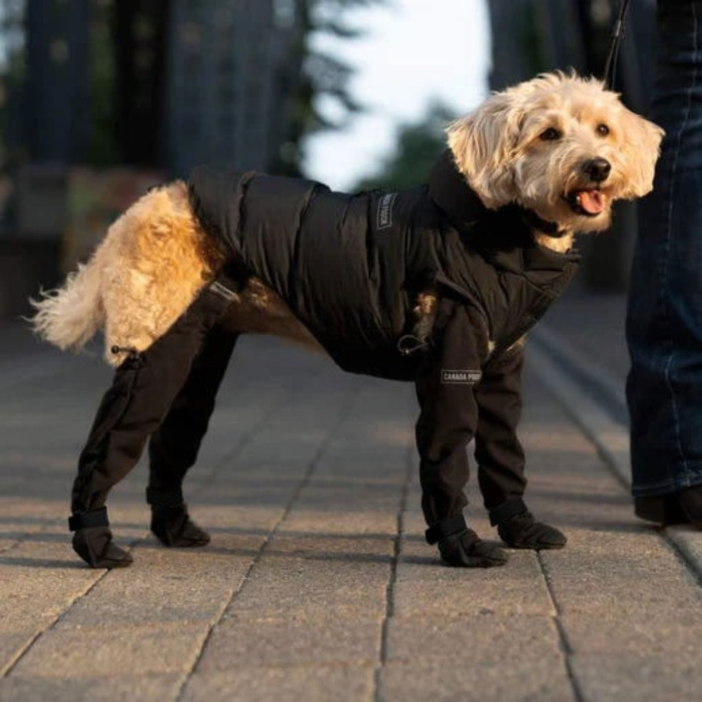 Wearclo | Dog Protective Paw Booties