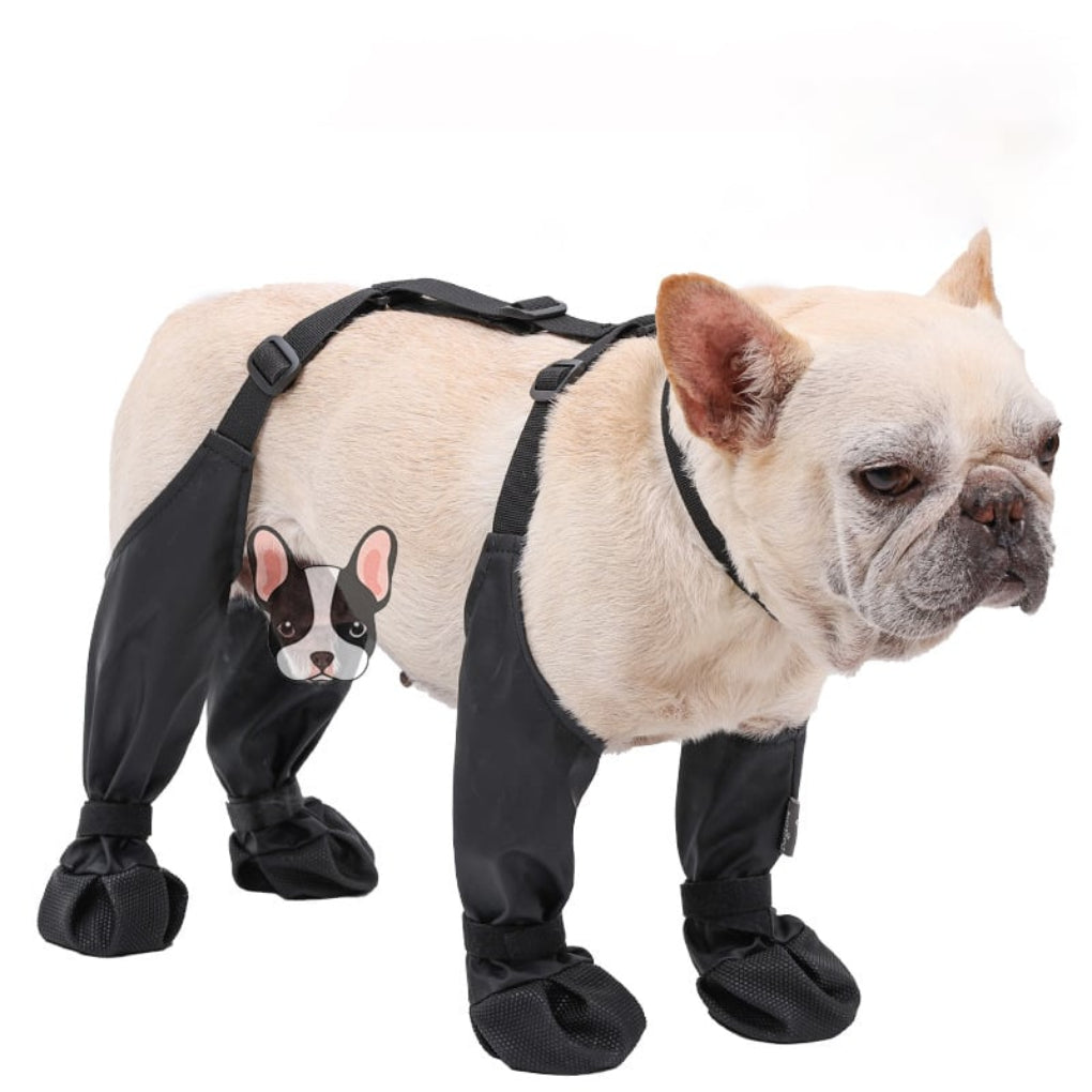 Wearclo | Dog Protective Paw Booties