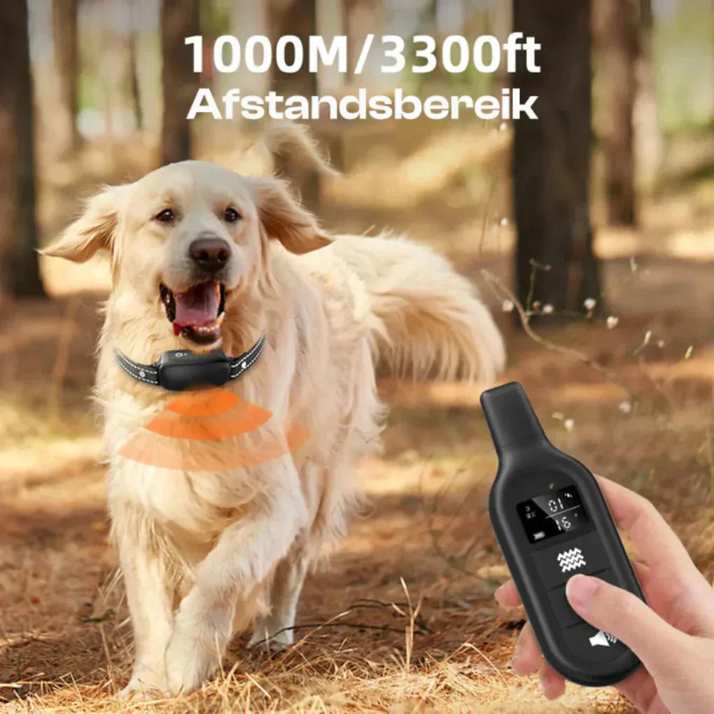Wearclo | Dog Training Collar with Remote Control