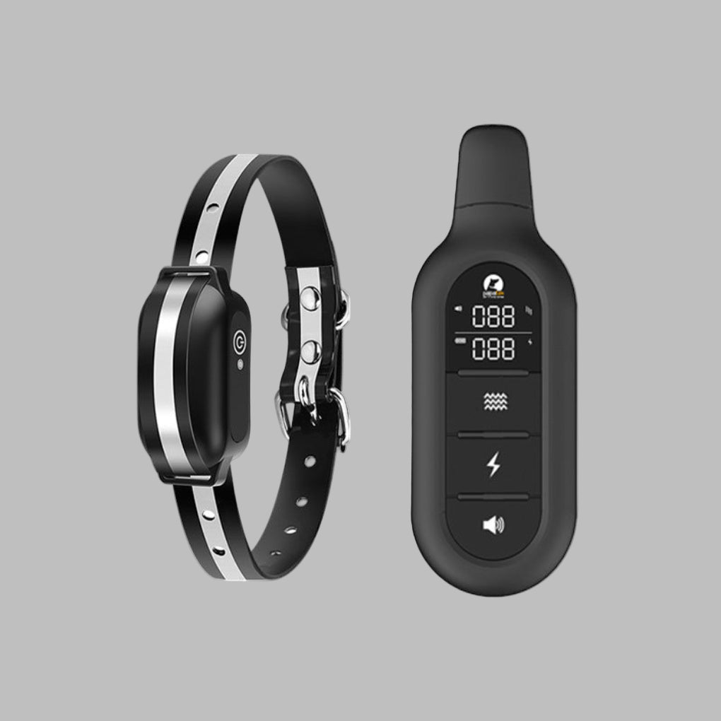 Wearclo | Dog Training Collar with Remote Control