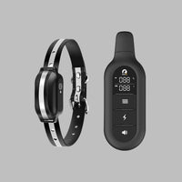 Wearclo | Dog Training Collar with Remote Control