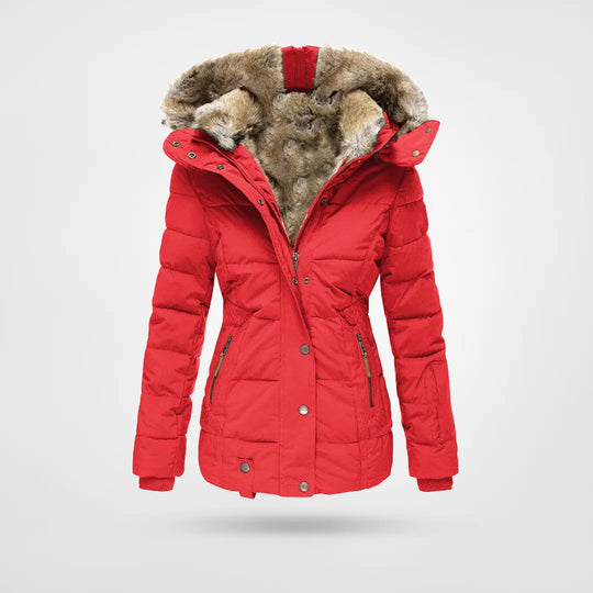 Wearclo - Fashionable Winter Jacket, Warmly Lined with Hood
