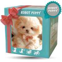 Wearclo | Robotic Puppy Toy for Kids