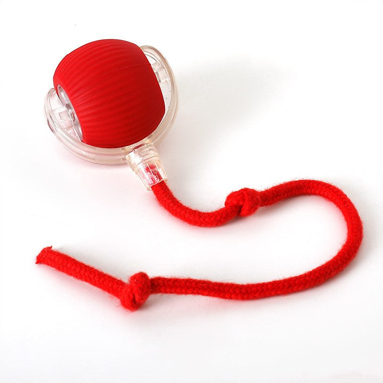 Wearclo | Interactive Rolling Ball Toy with Tail for Dogs