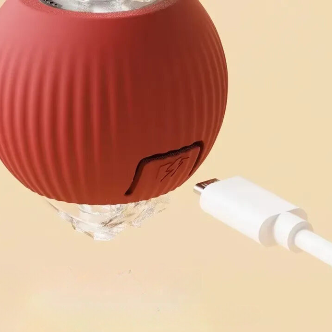 Wearclo | Interactive Rolling Ball Toy with Tail for Dogs