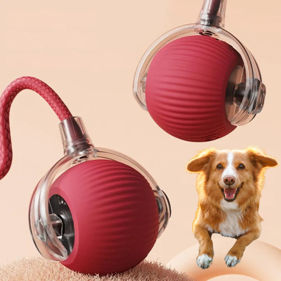 Wearclo | Interactive Rolling Ball Toy with Tail for Dogs