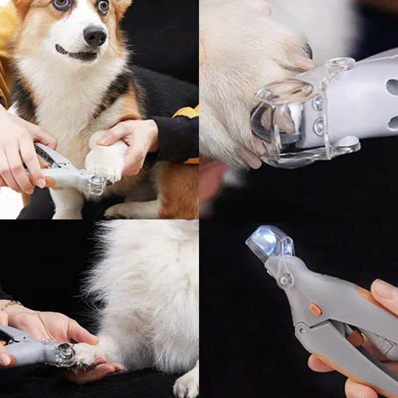 Wearclo | MAX - Best nail clipper for dogs with quick sensors