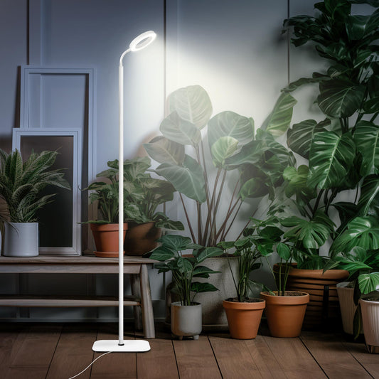 Wearclo | Mistyjungle Growth Light For Indoor Plants, Floor Full Spectrum Plant Light With Stand, Large Grow Lights With Automatic Timer, 60 Inches Height Adjustable, 10 Level Dimmable, White Halo LED Grow Lamp