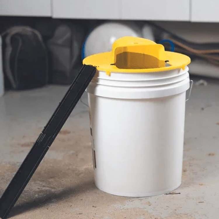 Wearclo | Mouse Trap Multi-Catch | Automatic Tilting Function | Safe for Children and Pets