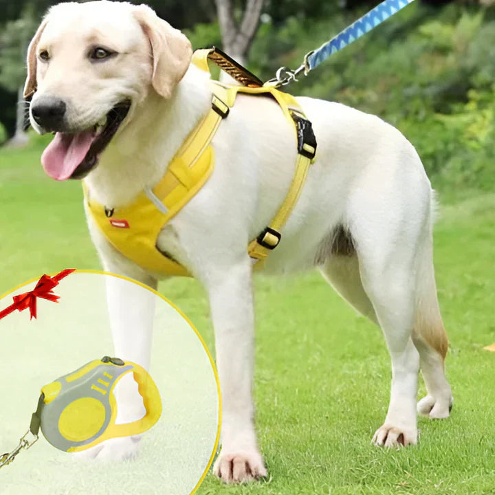 Wearclo | No-Pull Dog Harness with Padded Comfort