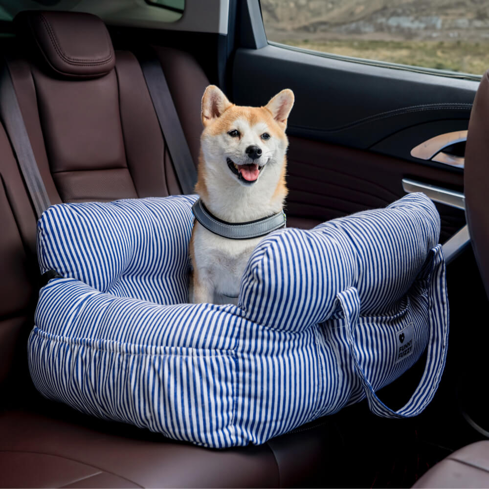 Wearclo | Pet Seter - Road Trip Pet Booster