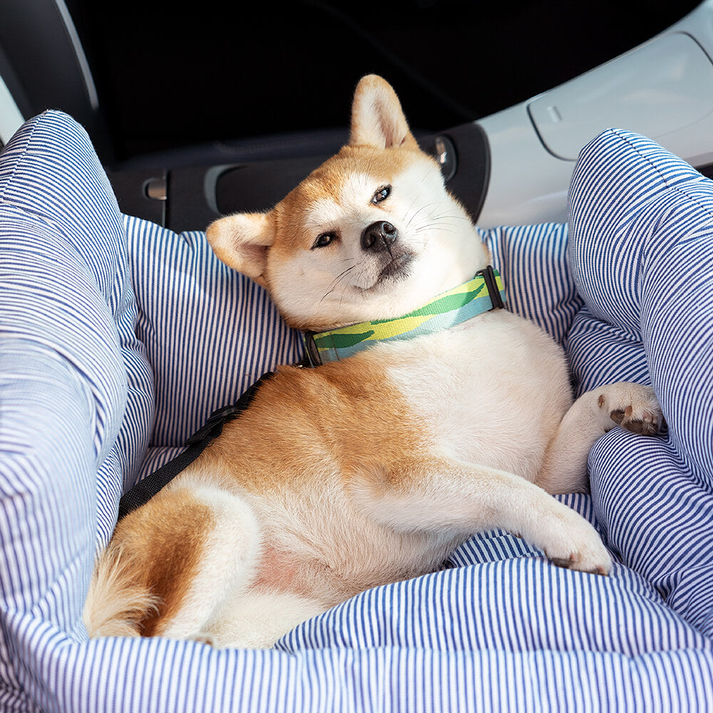 Wearclo | Pet Seter - Road Trip Pet Booster