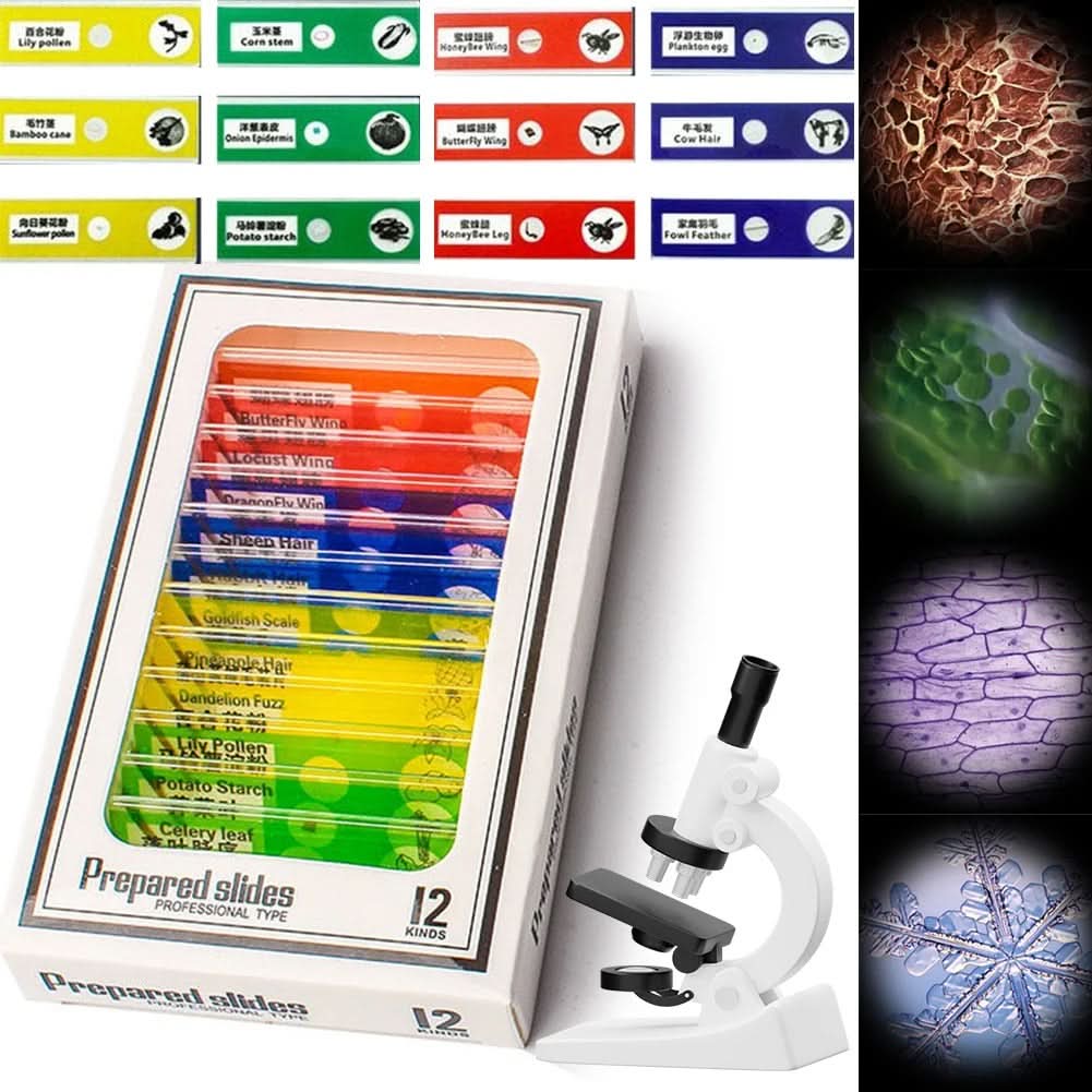 Wearclo | Portable Microscope for Young Explorers