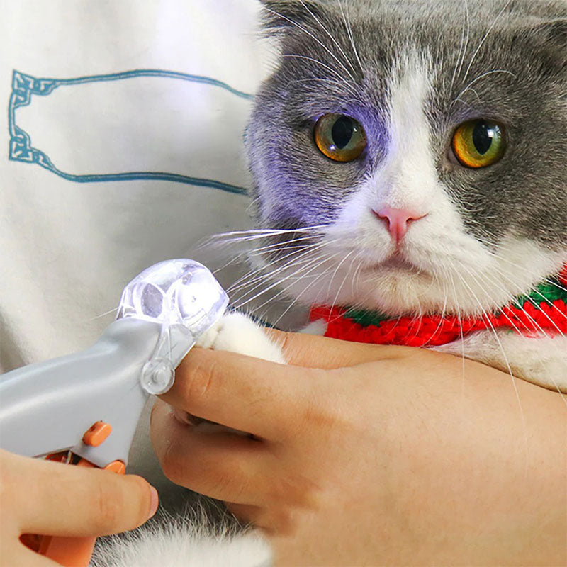 Wearclo | Premium Dog Clipper with Safety Sensor