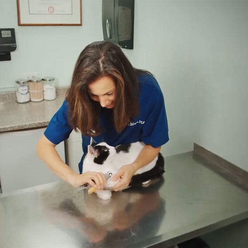 Wearclo | Premium Dog Clipper with Safety Sensor