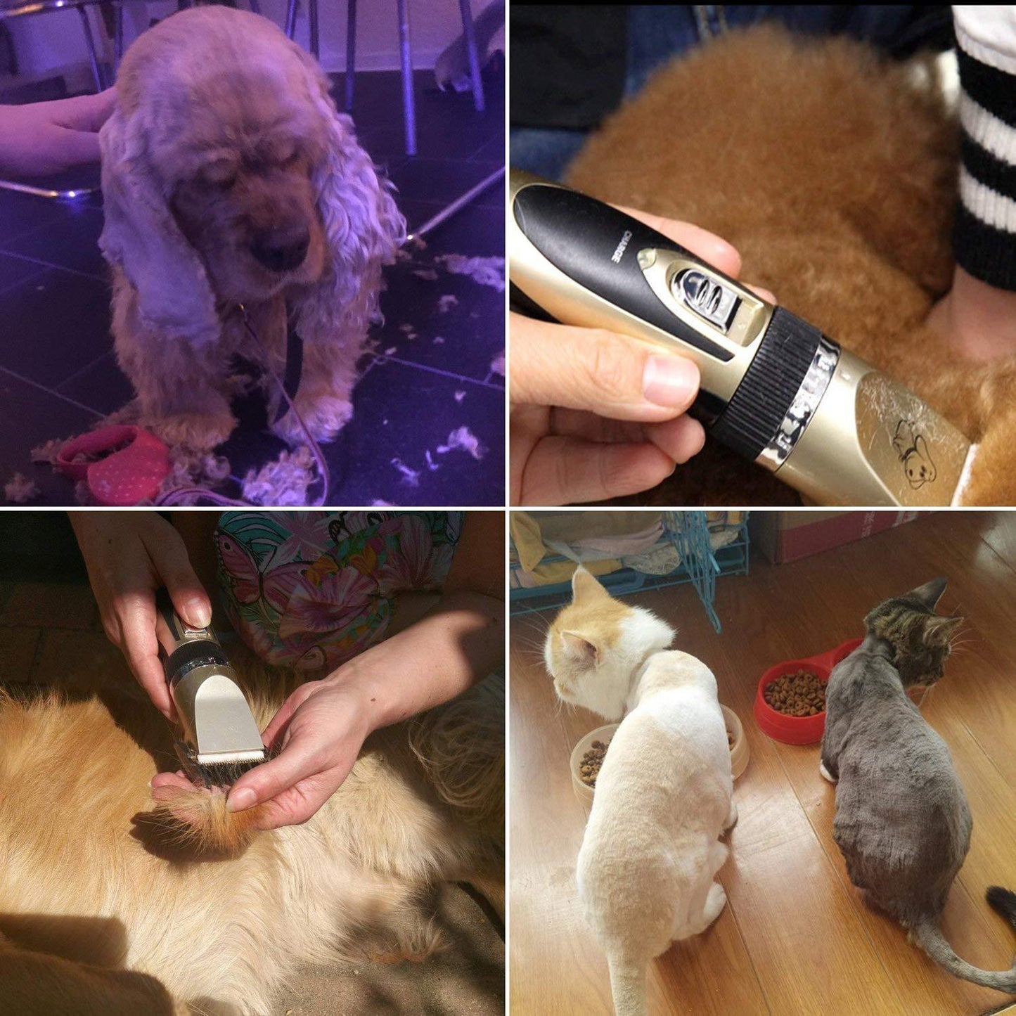 Wearclo | Professional Rechargeable Pet Clipper