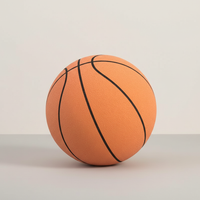 Wearclo Silent Basketball | Noise-Free Indoor Training Ball