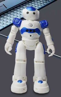 Wearclo | Remote Controlled Smart Robot Toy